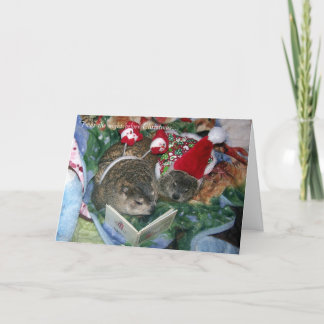Groundhog Christmas Card