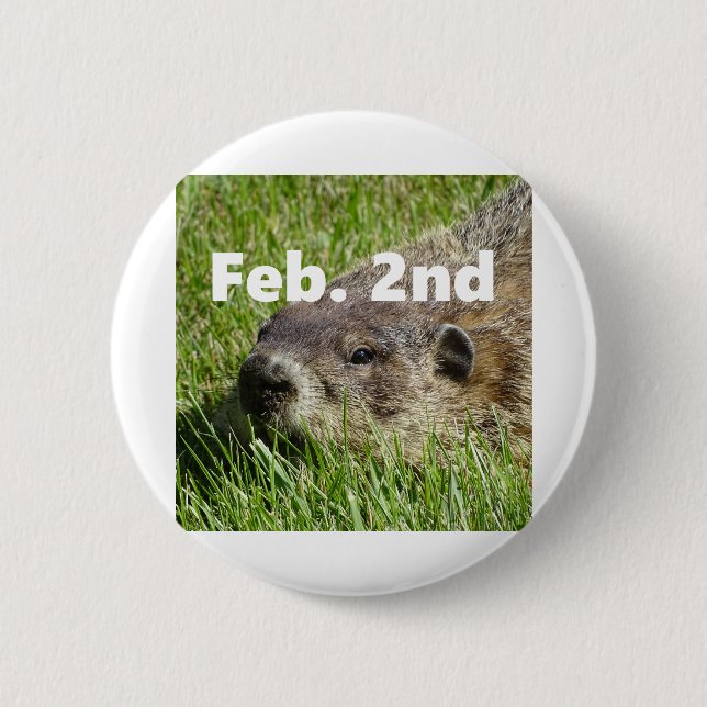 Groundhog close up 6 cm round badge (Front)