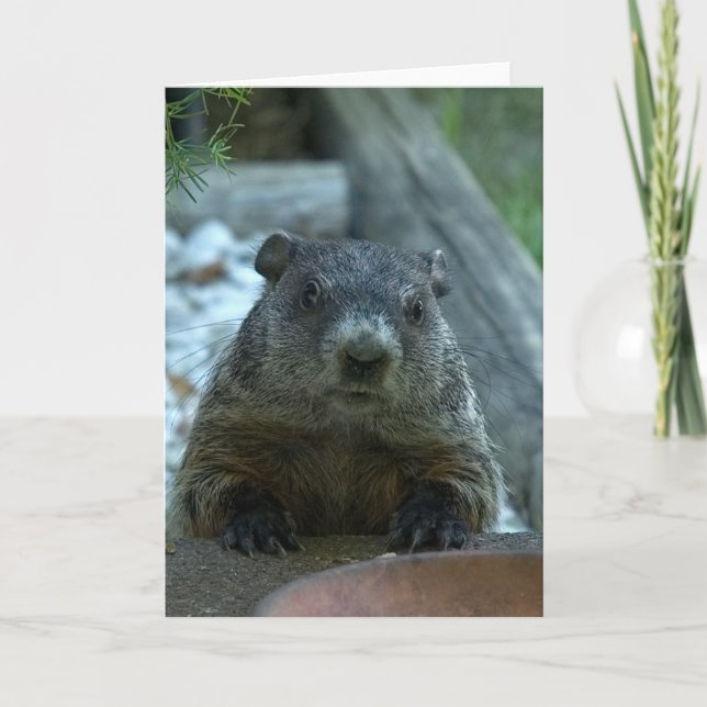Groundhog Day! Card (Front)