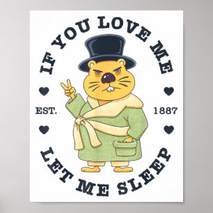 Groundhog Day If You Love Me Let Me Sleep, Funny S Poster