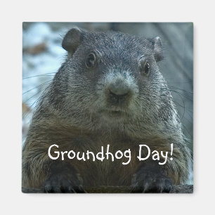 Groundhog Day!! Magnet
