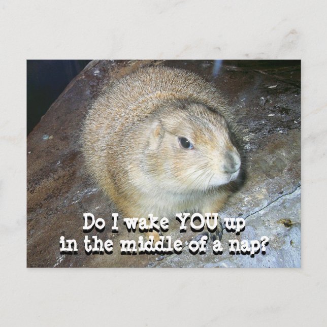 Groundhog Day Postcard (Front)