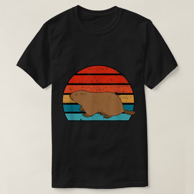 Groundhog Day Punxsutawney Phil Pennsylvania Vinta T-Shirt (Design Front)