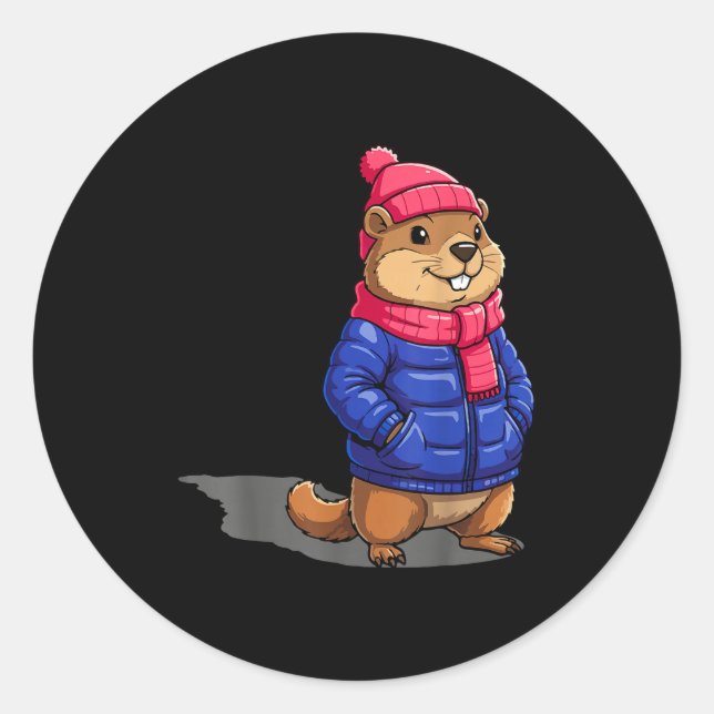 Groundhog Day Shadow Funny Groundhog Day Birthday  Classic Round Sticker (Front)