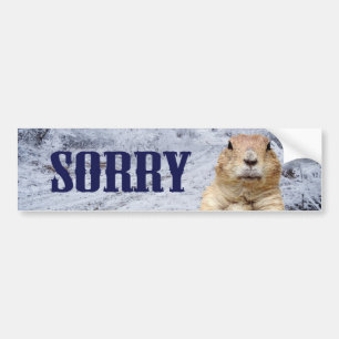 Groundhog Day Sorry Bumper Sticker