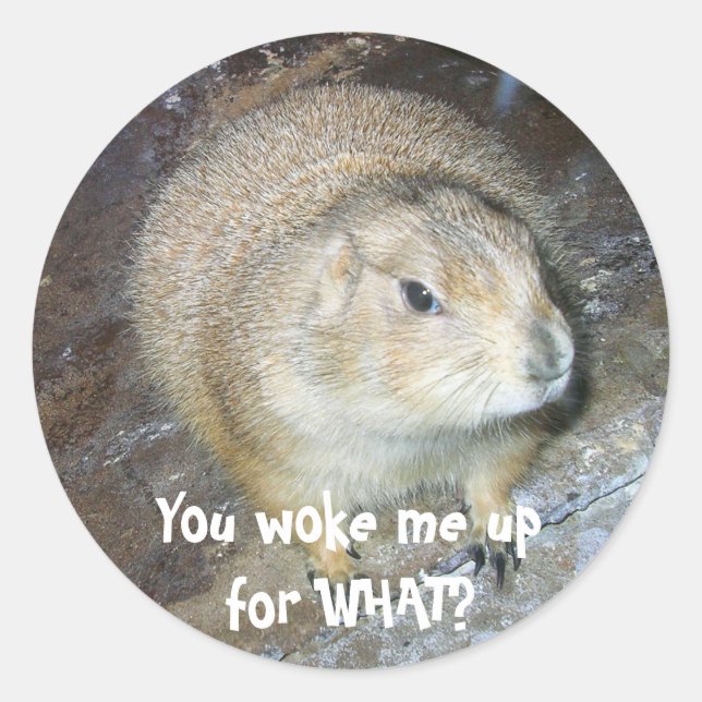 Groundhog Day Stickers (Front)