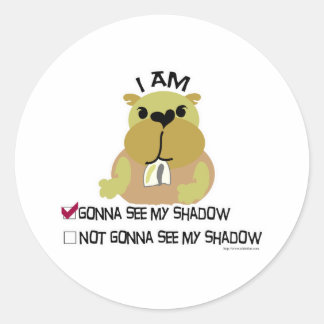 Groundhog day vote shadow classic round sticker