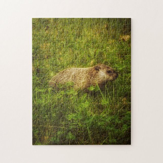 Groundhog in a field jigsaw puzzle (Vertical)