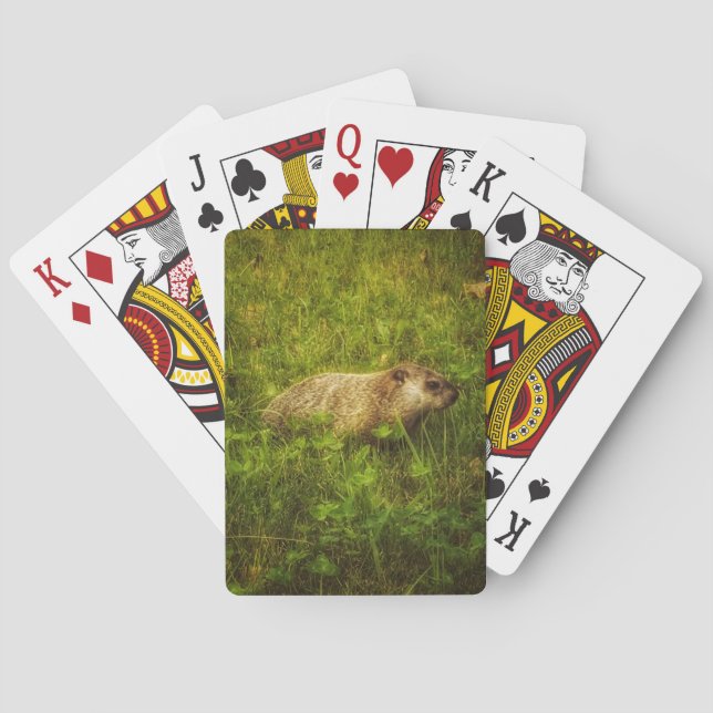 Groundhog in a field playing cards (Back)