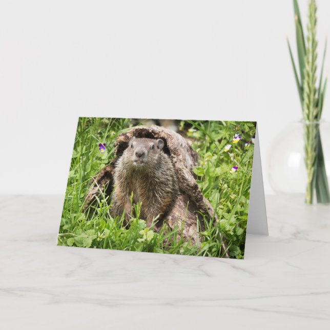 Groundhog in a Hollow Log Card (Front)