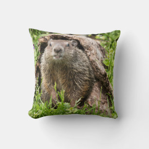 Groundhog in a Hollow Log Cushion