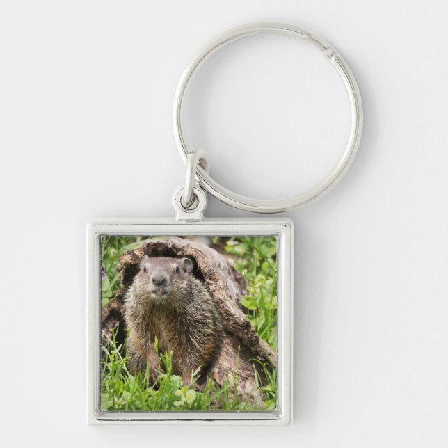 Groundhog in a Hollow Log Key Ring (Front)