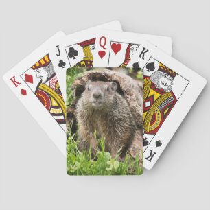 Groundhog in a Hollow Log Playing Cards