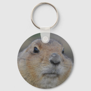 groundhog key ring