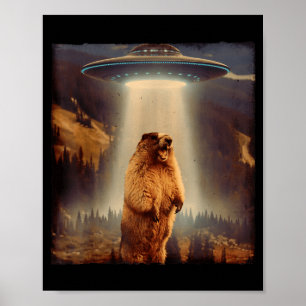 Groundhog Lover Groundhog Screaming Ufo Meme Funny Poster