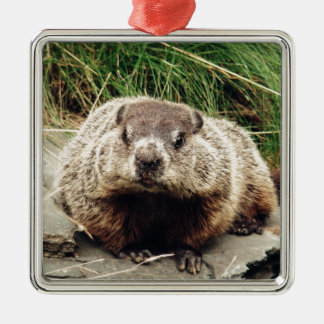Groundhog Metal Tree Decoration