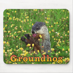 Groundhog Mousepad