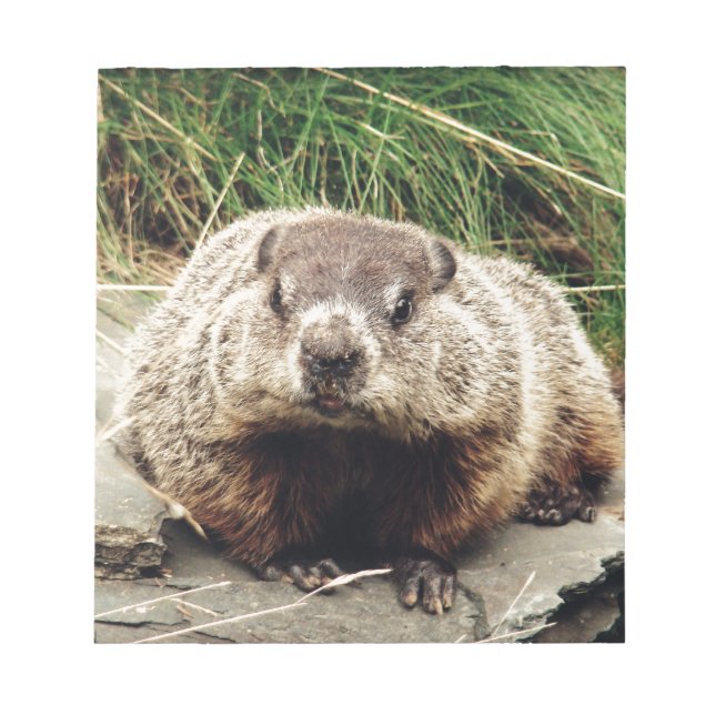 Groundhog Notepad (Front)