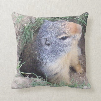 Groundhog Pillow