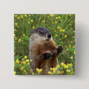 Groundhog Pose 15 Cm Square Badge