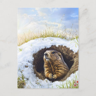 Groundhog  postcard