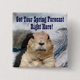 Groundhog Spring Forecast 15 Cm Square Badge