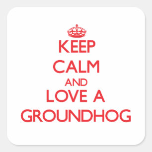 Groundhog Square Sticker