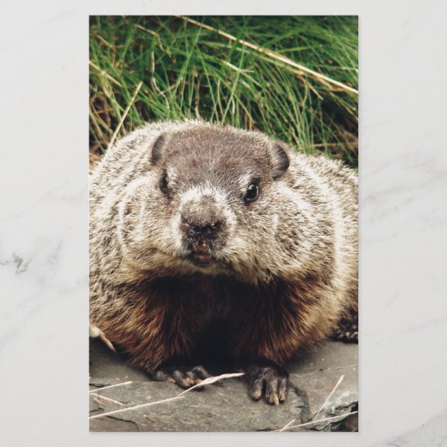 Groundhog Stationery (Front)
