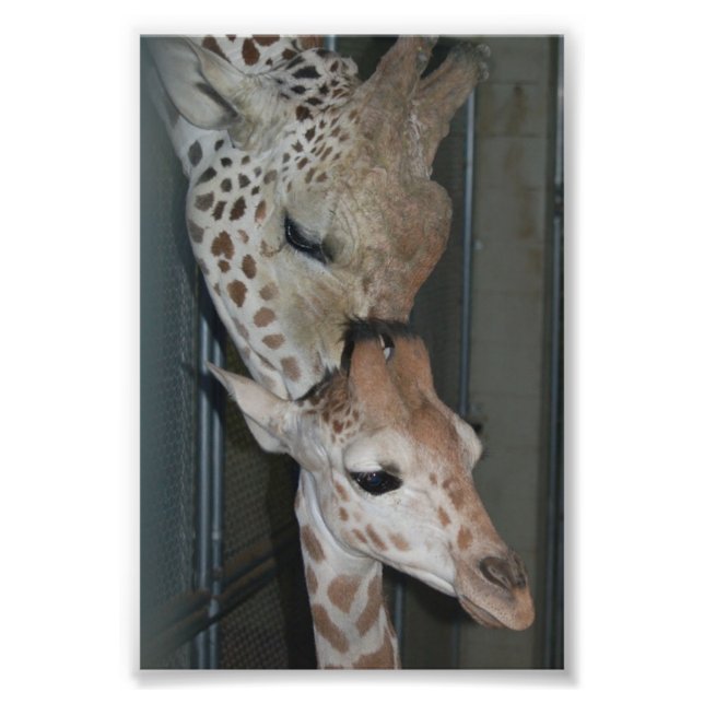 Group 4X6 Print #4 (Front)