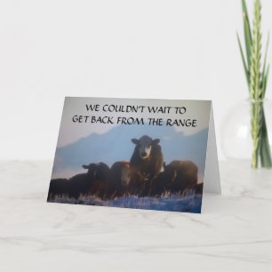 "GROUP BIRTHDAY - MOOING WISHES TO YOU" CARD