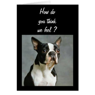 GROUP IS TURNING 40 SOON TOO