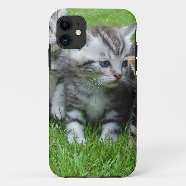 Group of adorable kittens. Case-Mate iPhone case (Back)