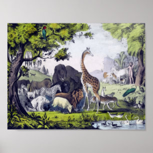 Group of animals poster