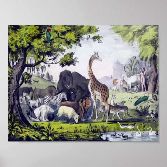 Group of animals poster (Front)