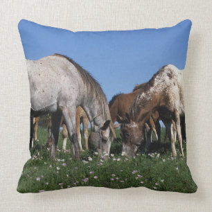 Group of Appaloosa Horses Grazing Cushion