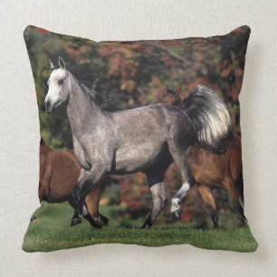 Group of Arab Horses Running Cushion