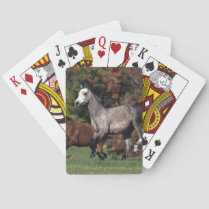 Group of Arab Horses Running Playing Cards