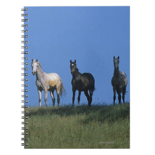 Group of Arabs Notebook