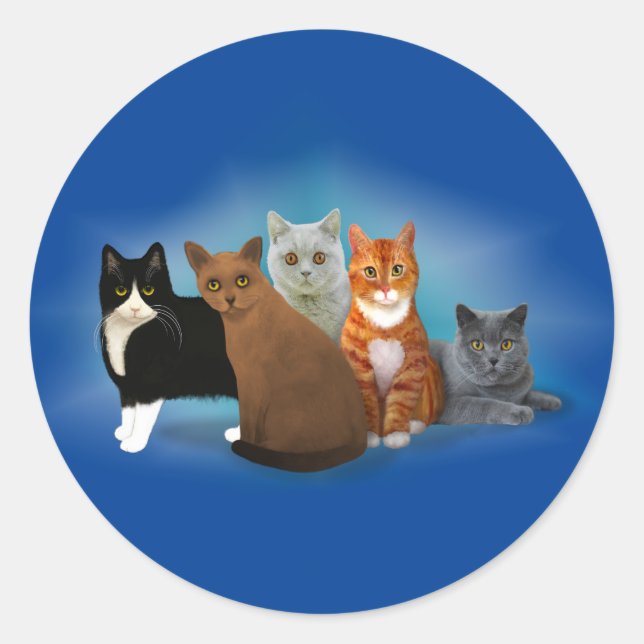 Group of Beautiful Cats for Cat Lovers Stickers (Front)