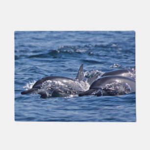 Group of bottlenose dolphins - Oman Doormat
