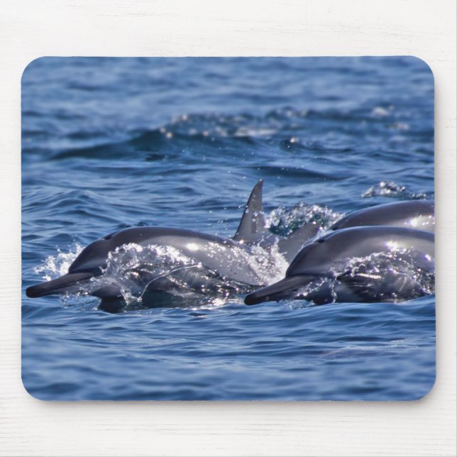 Group of bottlenose dolphins - Oman Mouse Mat (Front)