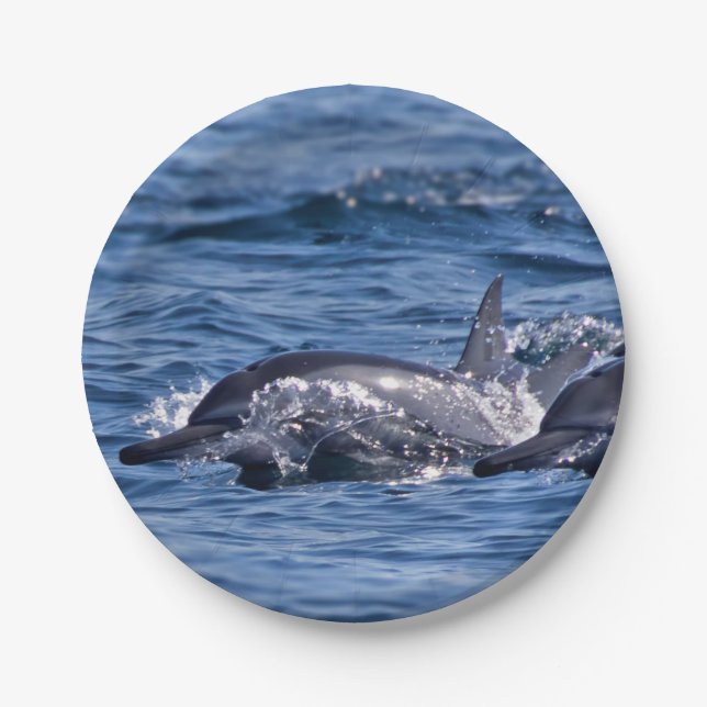 Group of bottlenose dolphins paper plate (Front)