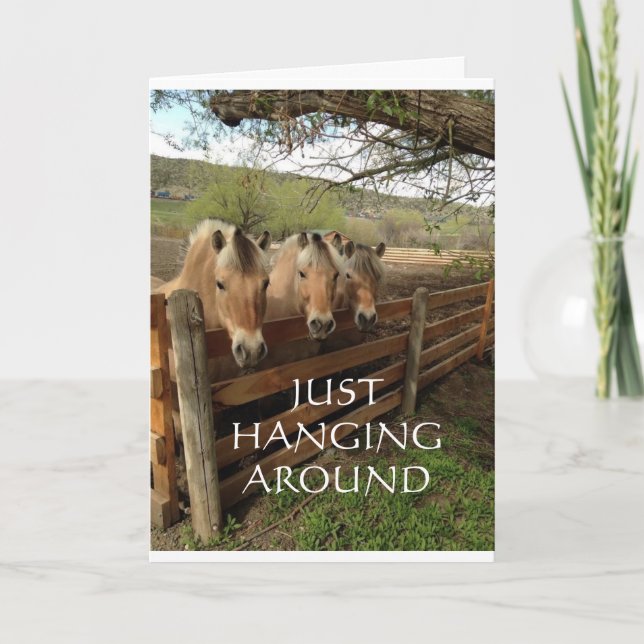 GROUP OF COOL HORSES SAY "HAPPY BIRTHDAY" CARD (Front)