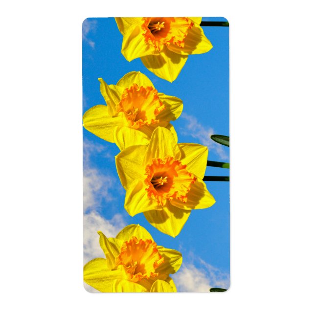 Group of Daffodils Gold Medal flowers (Front)