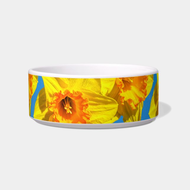 Group of Daffodils Gold Medal flowers Bowl (Front)