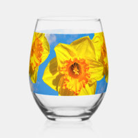 Group of Daffodils Gold Medal flowers