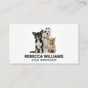 Group of Dogs Animal Services Business Card