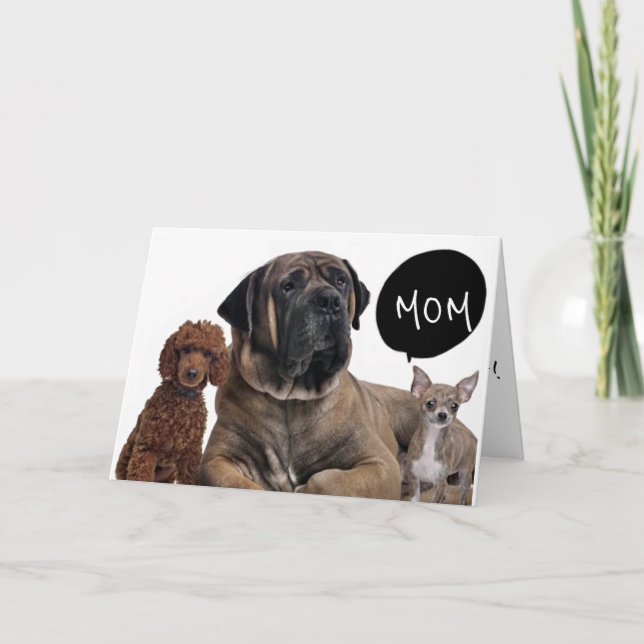 GROUP OF DOGS *BEST BIRTHDAY EVER MOM* WISHES CARD (Front)