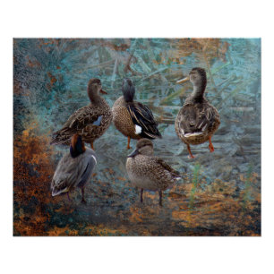 group of ducks poster