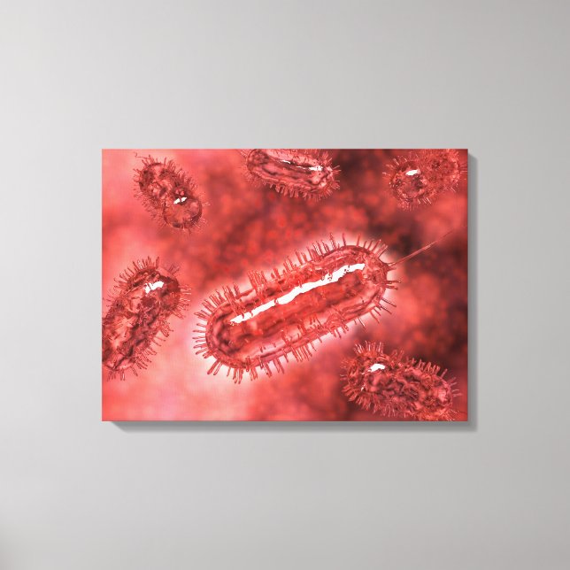 Group Of Escherichia Coli Bacteria Cells 2 Canvas Print (Front)